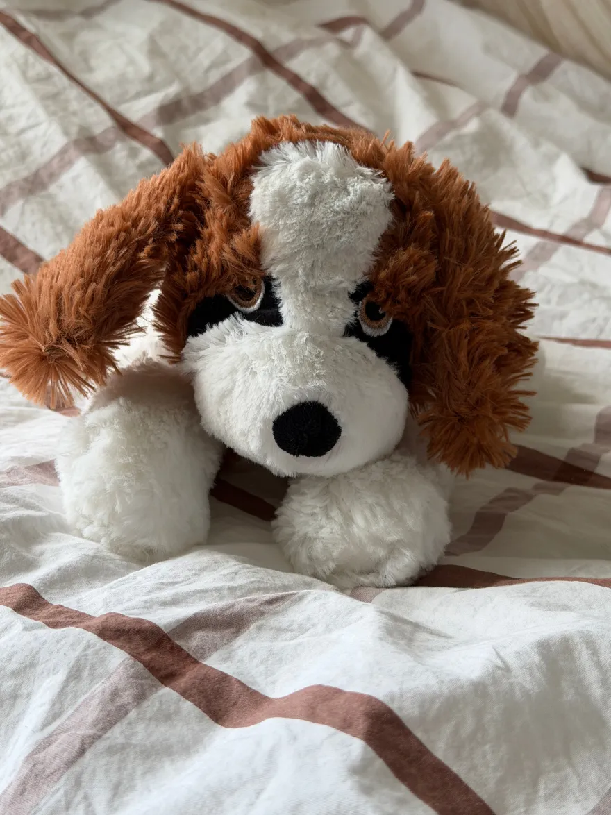 Bamse Hund i Brun (32cm)