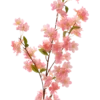 Evighedsbuket Ferskenblomst iLyserød (H105cm)