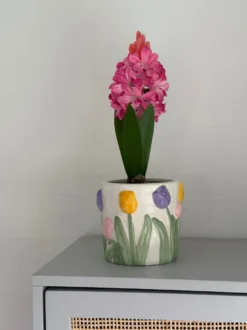 Hyacint i Potte i Lyserød (H28,5cm)