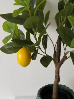 Kunstig Plante Citrontræ (H60cm)
