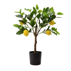 Kunstig Plante Citrontræ (H60cm)
