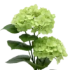Kunstig Plante Hortensia i Grøn (H41cm)