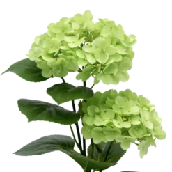 Kunstig Plante Hortensia i Grøn (H41cm)