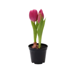 Kunstig Plante Tulipaner i Lyserød (H21cm)
