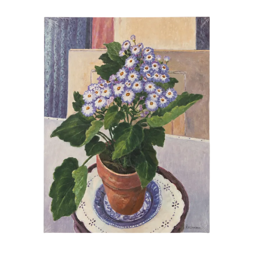 Plakater i Flere Designs (40x50cm)