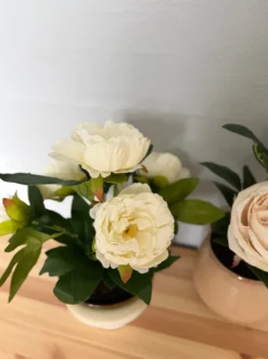 Rose i Potte i Hvid (35cm)