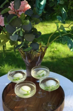 4 stk. Cocktail Glas (300ml)
