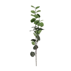 3 stk. Eucalyptus Grene I Grøn (H78cm)