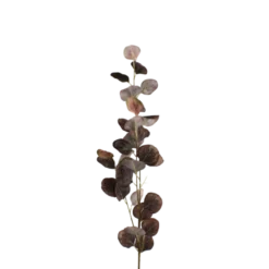 3 stk. Eucalyptus Grene I Kaffe Farve (H78cm)