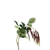 3 stk. Grass Rød (H85cm)