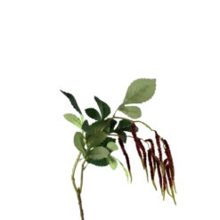 3 stk. Grass Rød (H85cm)