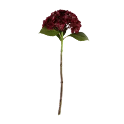 3 stk. Hortensia Blomster i Bordeaux (H55cm)