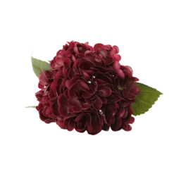 3 stk. Hortensia Blomster i Bordeaux (H55cm)