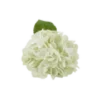 3 stk. Hortensia Blomster I Hvid (H32cm)