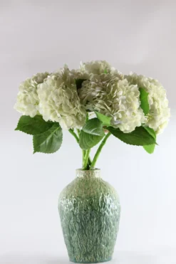 3 stk. Hortensia Blomsteri Hvid