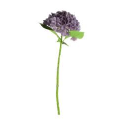 3 stk. Hortensia Blomster I Lilla (H55cm)