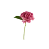 3 stk. Hortensia Blomster i Lyserød (H32cm)