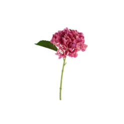 3 stk. Hortensia Blomster i Lyserød (H32cm)