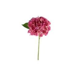 3 stk. Hortensia Blomster i Lyserød (H32cm)