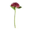 3 stk. Hortensia Blomst i Lyserød (H55cm)