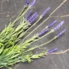 3 stk. Kunstig plante Lavendel i Grøn/Lilla (H 38cm)