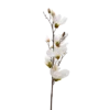 3 stk. Magnolia Blomster i Hvid (H100cm)
