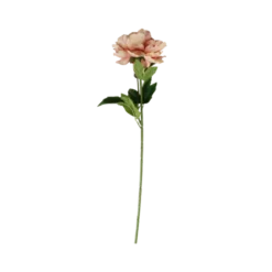 3 stk. Pæon Blomster Lyserød (H64cm)