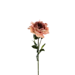 3 stk. Pæon Blomster Lyserød (H64cm)