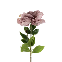 3 stk. Pæon Blomst I Lyse Lilla (H64cm)