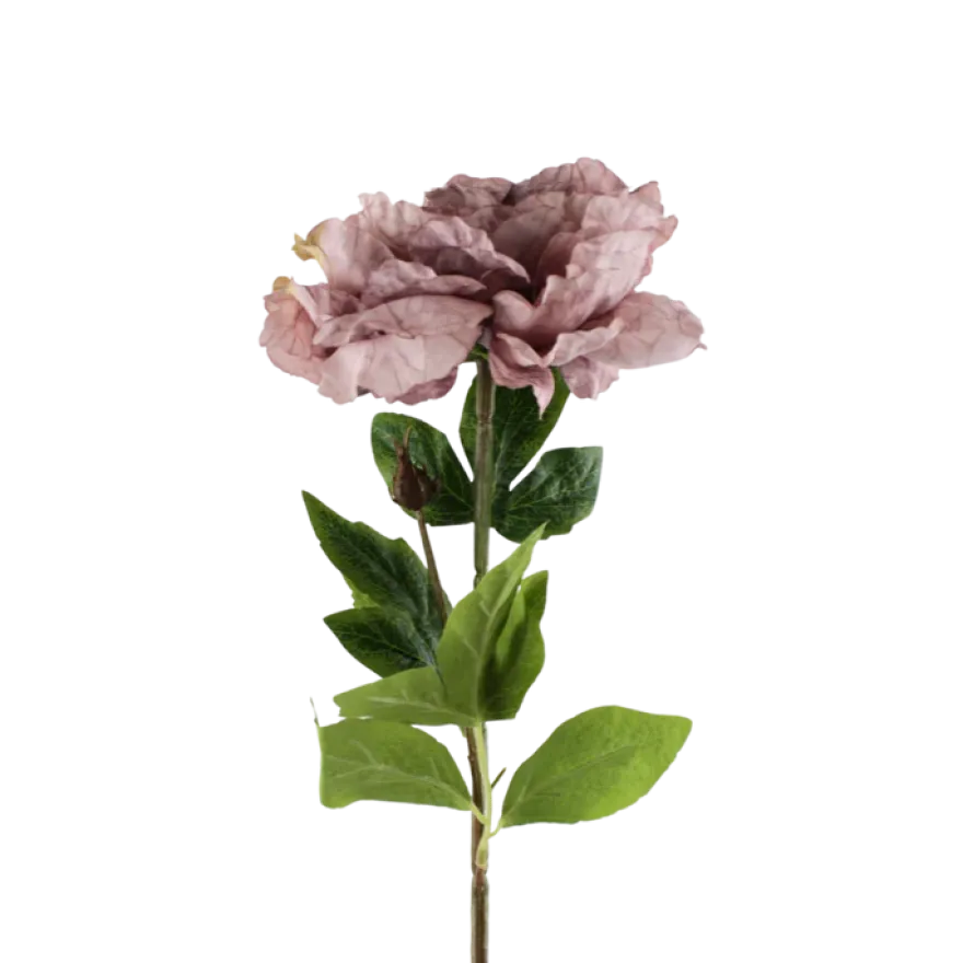 3 stk. Pæon Blomst I Lyse Lilla (H64cm)