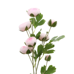 3 stk. Ranunkel Blomster i Lyserød (H73cm)