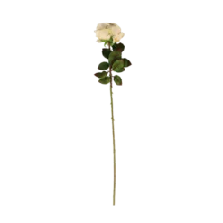 3 stk. Roser i Champagne Farve (H68cm)