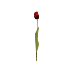 3 stk. Tulipaner i Burgandy (H48cm)