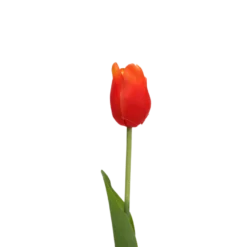 3 stk. Tulipaner i Orange (H48cm)