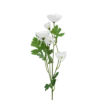 3 stk. Valmueblomster i Hvid (H40cm)
