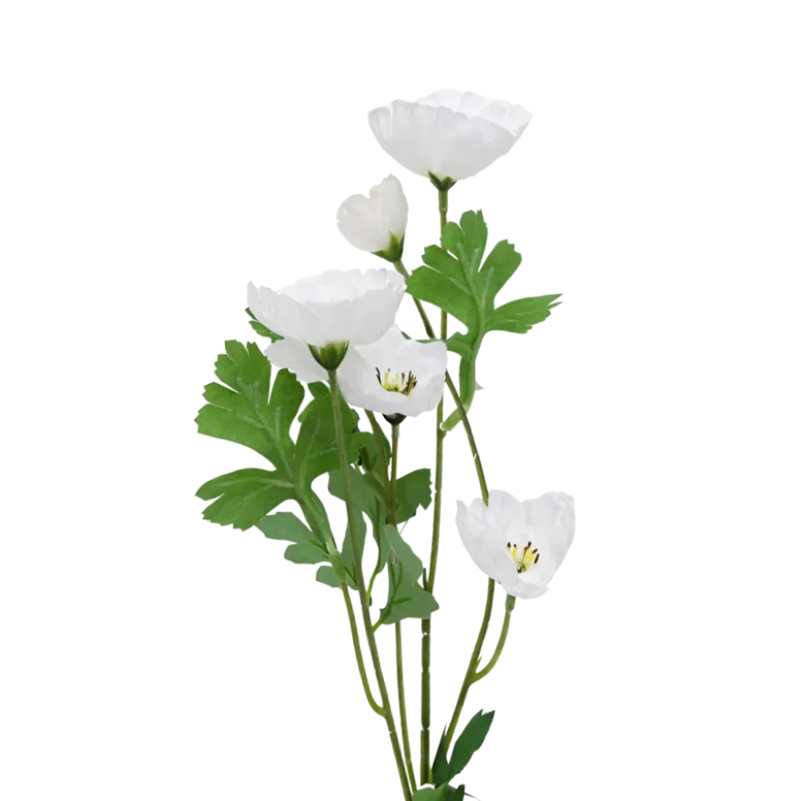 3 stk. Valmueblomster i Hvid (H40cm)