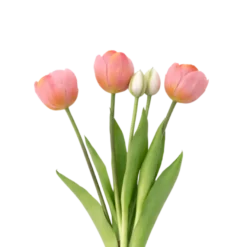 Tulipaner Buket i Lyserød (H40cm)